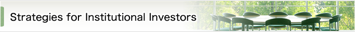 Strategies for Institutional Investors